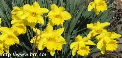 Klikk på bildet for å se det i full størrelse