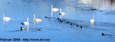 Klikk på bildet for å se det i full størrelse
