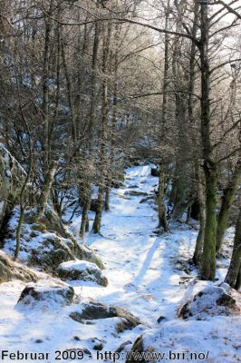 Klikk på bildet for å se det i full størrelse