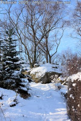 Klikk på bildet for å se det i full størrelse