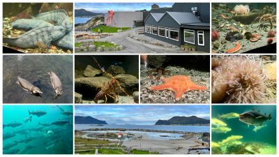 Klikk på bildet for å se det i full størrelse