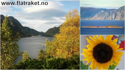 Klikk på bildet for å se det i full størrelse