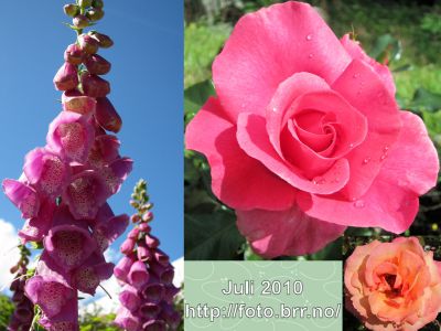 Klikk på bildet for å se det i full størrelse