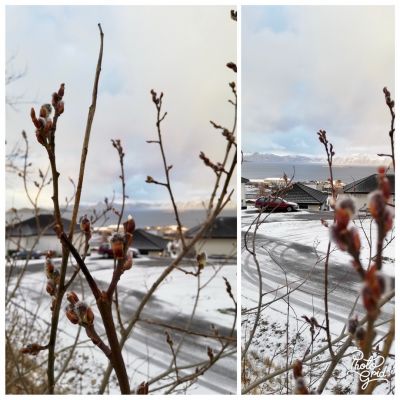 Klikk på bildet for å se det i full størrelse