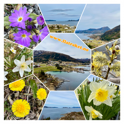 Klikk på bildet for å se det i full størrelse