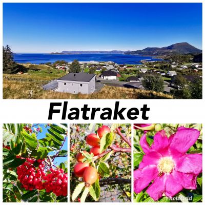 Klikk på bildet for å se det i full størrelse