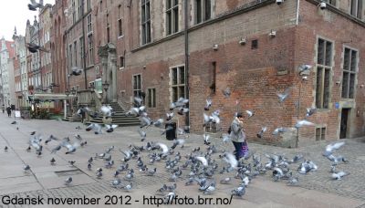 Klikk på bildet for å se det i full størrelse