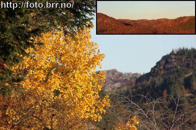 Klikk på bildet for å se det i full størrelse