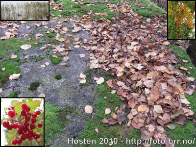 Klikk på bildet for å se det i full størrelse