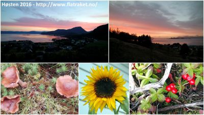 Klikk på bildet for å se det i full størrelse