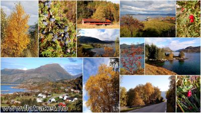 Klikk på bildet for å se det i full størrelse