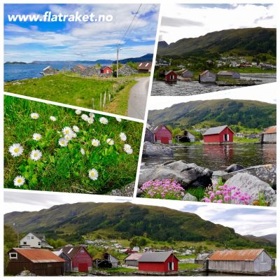 Klikk på bildet for å se det i full størrelse