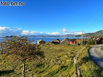 Klikk på bildet for å se det i full størrelse