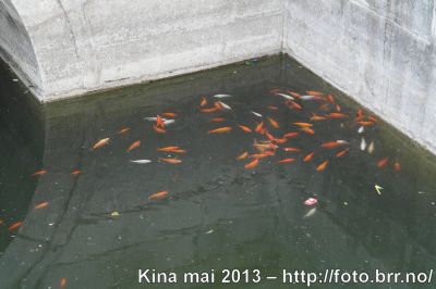 Klikk på bildet for å se det i full størrelse