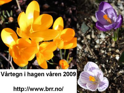 Klikk på bildet for å se det i full størrelse