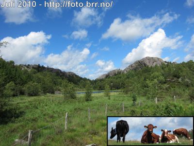 Klikk på bildet for å se det i full størrelse