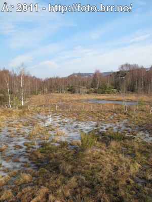 Klikk på bildet for å se det i full størrelse