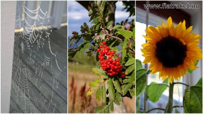 Klikk på bildet for å se det i full størrelse