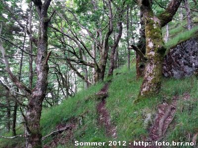 Klikk på bildet for å se det i full størrelse