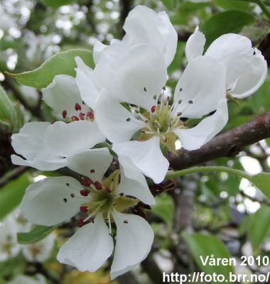 Klikk på bildet for å se det i full størrelse