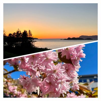 Klikk på bildet for å se det i full størrelse