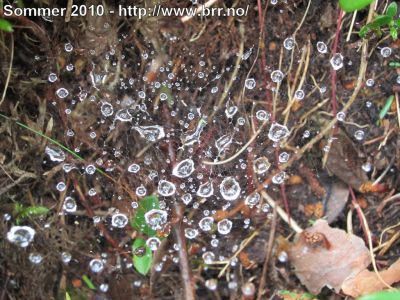 Klikk på bildet for å se det i full størrelse