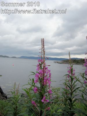 Klikk på bildet for å se det i full størrelse