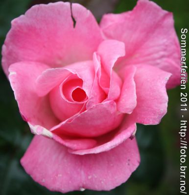 Klikk på bildet for å se det i full størrelse