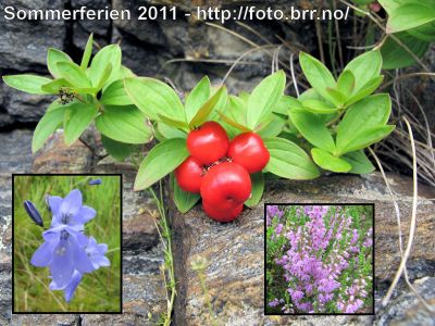 Klikk på bildet for å se det i full størrelse