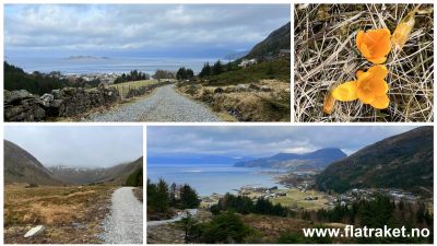 Klikk på bildet for å se det i full størrelse