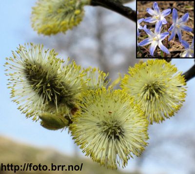 Klikk på bildet for å se det i full størrelse