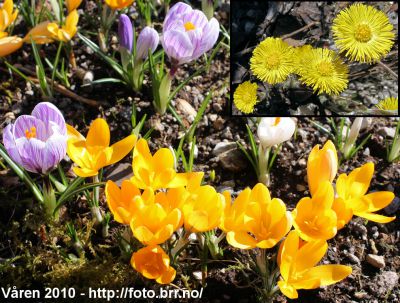 Klikk på bildet for å se det i full størrelse